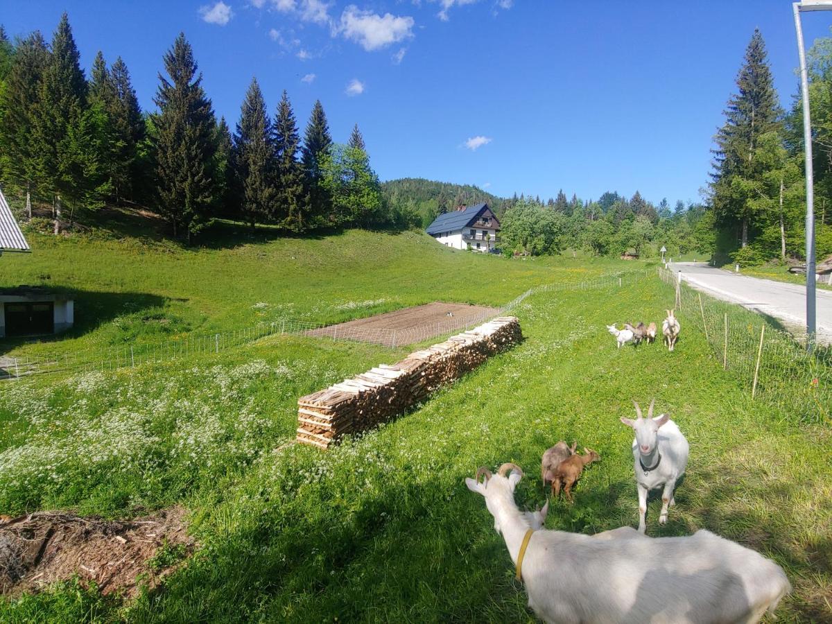 班斯卡比斯特里察Tourist Farm Pr' Maretc公寓 外观 照片